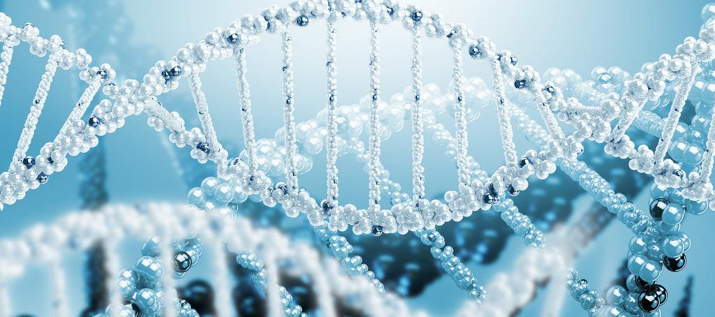 浅谈威客电竞抗体药物PK剖析要领学设计的思量要点