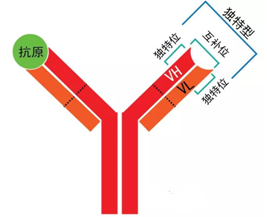 威客电竞(vkgame)-为竞技而生
