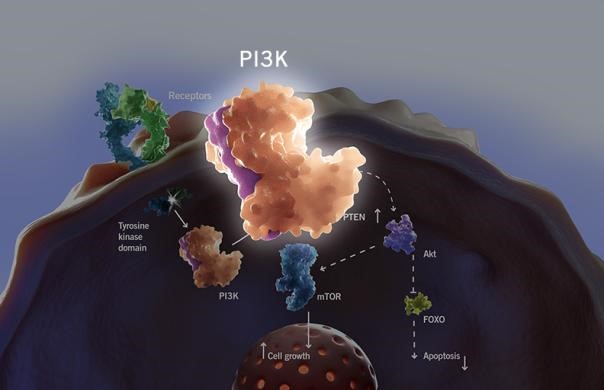威客电竞(vkgame)-为竞技而生
