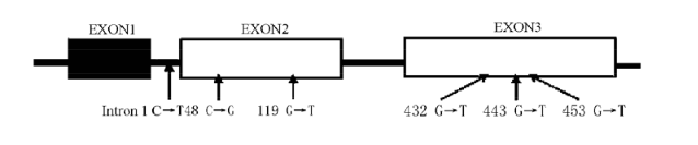 威客电竞(vkgame)-为竞技而生