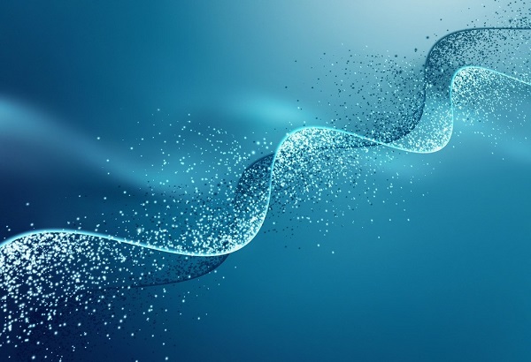 威客电竞(vkgame)-为竞技而生