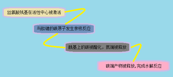 威客电竞(vkgame)-为竞技而生