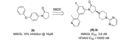威客电竞(vkgame)-为竞技而生