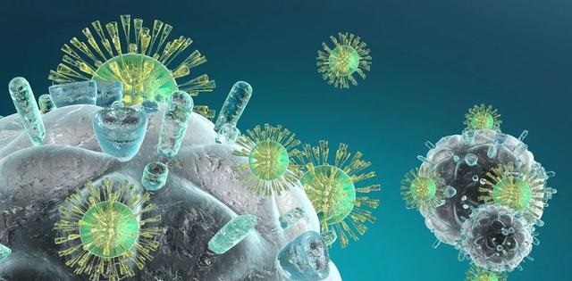 威客电竞(vkgame)-为竞技而生