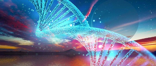 威客电竞(vkgame)-为竞技而生