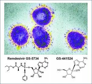 基于细胞因子风暴和免疫炎症反应综合征，，，，，，许多免疫相关靶点也可以列为冠状病毒的靶点。。。。。。