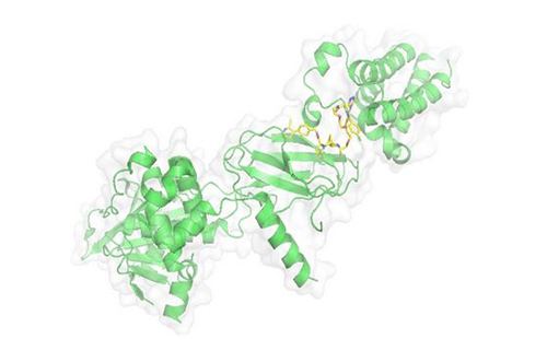 PROTAC手艺，，，，，，，马兴泉