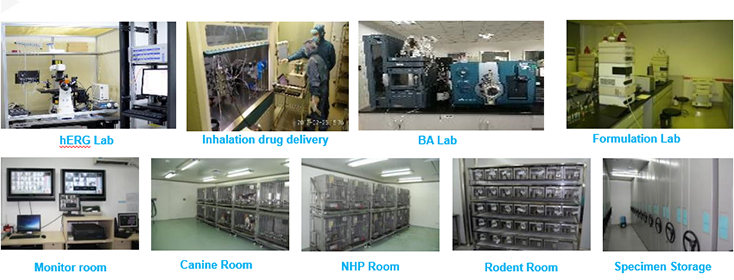 威客电竞毒理研究部装备