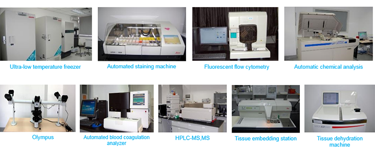 威客电竞毒理研究部装备