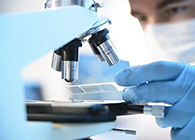 威客电竞代谢产品判断(MetlD)效劳平台