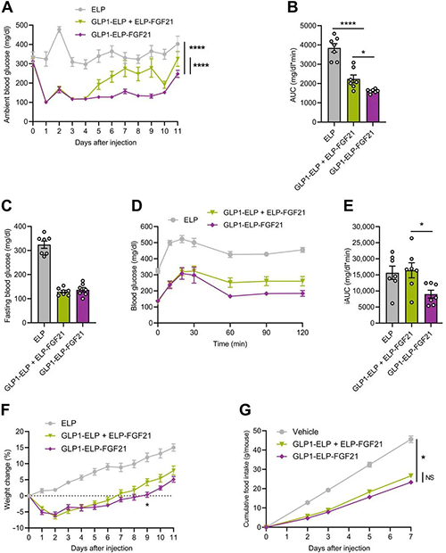 GLP1-ELP-FGF21双激动剂形式在治疗上优于GLP-1 / FGF21单激动剂混淆物 威客电竞