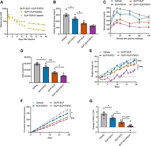 GLP1-ELP-FGF21双激动剂融合卵白对血糖和体重具有有用且一连的作用 威客电竞