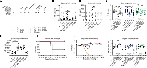 研究职员将部分选择性核因子κB（NF-kB）抑制剂与几种现在的佐剂联合使用
