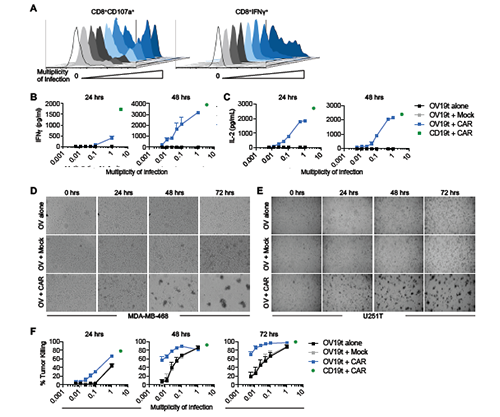 威客电竞(vkgame)-为竞技而生