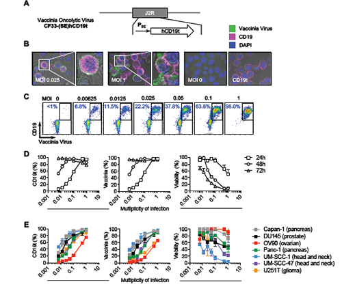 威客电竞(vkgame)-为竞技而生