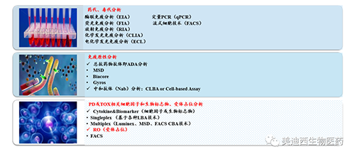 威客电竞生物手艺药物剖析部效劳内容