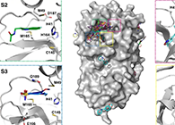 【Nature子刊】国际团队联协实力，，，，，，加速基于COVID-19结构的药物设计！