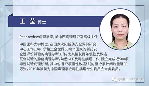 威客电竞病理研究部高级主任王莹博士