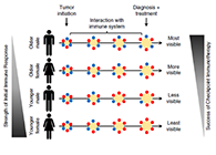 事实为什么ICB疗法在年轻女性肿瘤患者体内收效甚微？？？？？