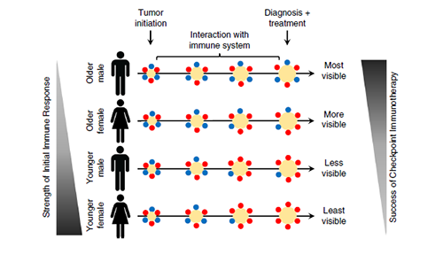 在非TCGA自力人群中举行验证