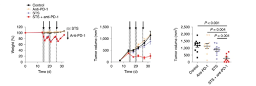 与比照组及仅使用PD-1疗法的模子小鼠比照，，，，，，，接纳短期饥饿配合PD-1疗法的393P细胞同源移植肿瘤小鼠体内的肿瘤体积有了显着的缩短。。。。。。。。