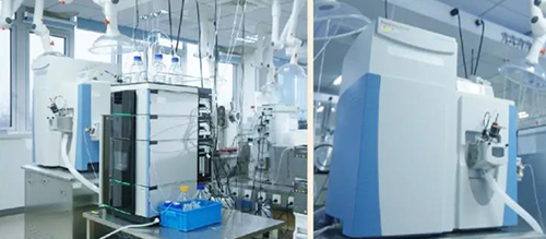 威客电竞DMPK剖析效劳