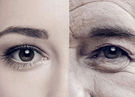 一种能够延伸寿命的降压药，，，，，，你听说过吗？？？？？？