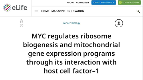 可以“融化”肿瘤的卵白质，，，，，，，你一定没有听说过！