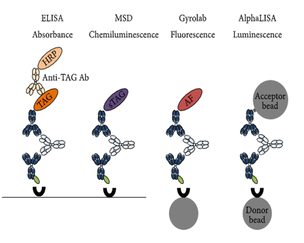 威客电竞免疫原性研究四大平台