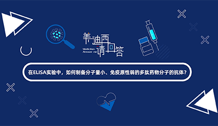 在ELISA实验，，，，，，，怎样制备分子量小、免疫原性弱的多肽药物分子的抗体？？？？？？