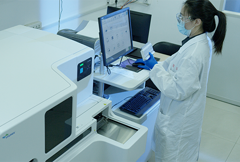 威客电竞一体化DMPK效劳为药物研发保驾护航