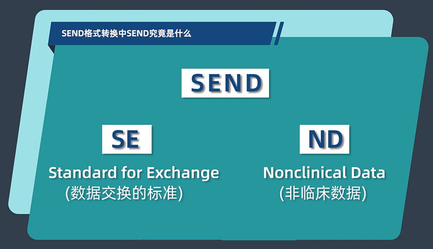 SEND名堂转换中的SEND事实是什么？？？？？？？？