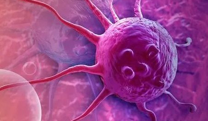 威客电竞助力中国原研高选择性EP4受体拮抗剂YY001获批临床