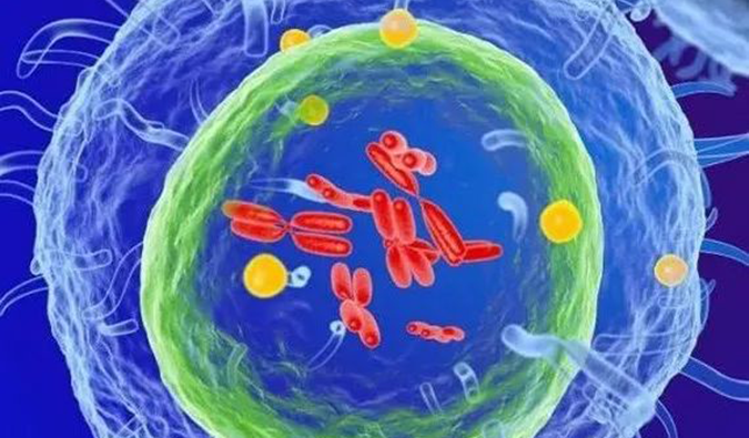  威客电竞助力 | 信诺维抗肿瘤1类新药XNW14010获批临床.png