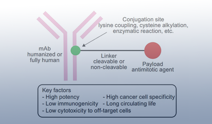 ADC药物：迎接市场热潮，，，，，攻破研发壁垒