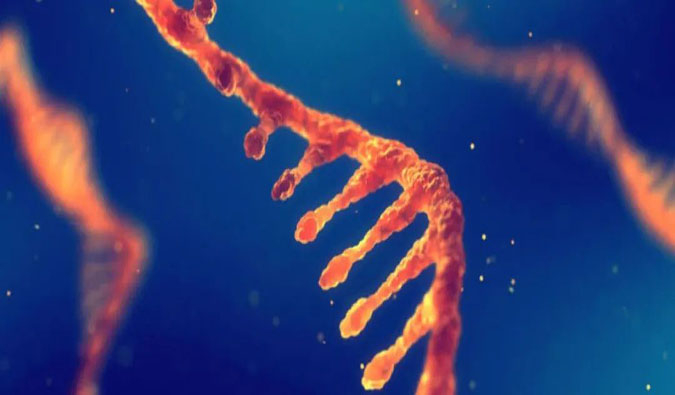 赋能核酸药物疗法，，，，，迎接新药研发第三次浪潮