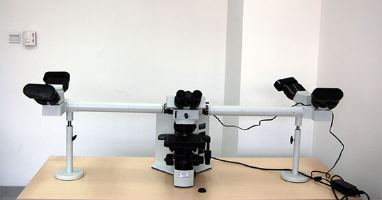 五人共揽显微镜