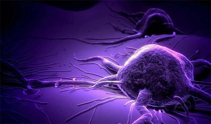 威客电竞助力轩竹生物研发的完全敲除岩藻糖的双抗ADC药物KM501获批临床