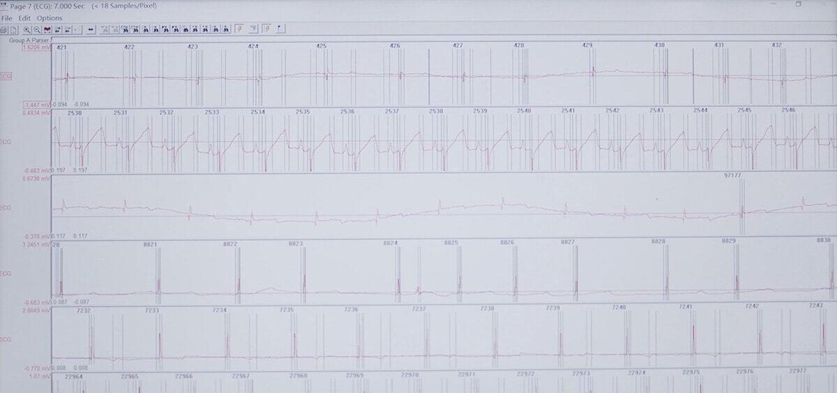 威客电竞 SEND 数据转换平台