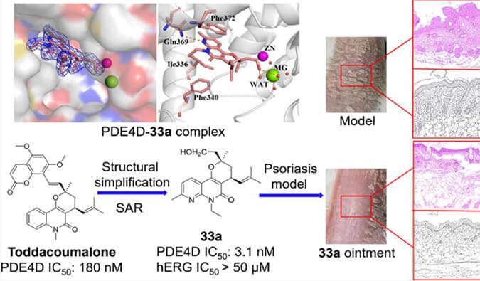 发明用于局部治疗牛皮癣的新型PDE4抑制剂，，，，，，小鼠、大鼠和人肝微粒体的代谢稳固性实验通过威客电竞测定