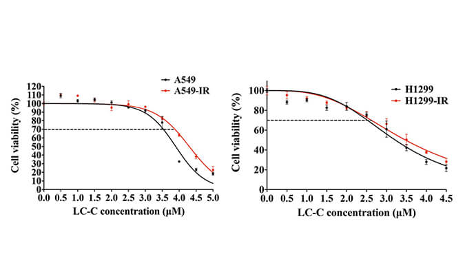 放射疗法用作肺癌的主要治疗要领，，，，，，本研究中建设抗电离辐射肺癌细胞系的放射治疗通过威客电竞举行
