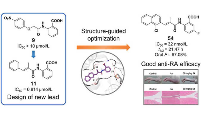 设计合成一系列DHODH抑制剂作为潜在的类风湿性枢纽炎治疗药物，，，，，本研究中PK实验通过威客电竞举行