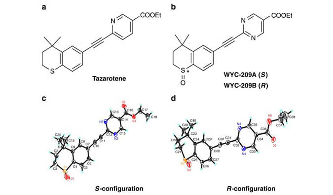 WYC-209可抑制恶性小鼠玄色素瘤肿瘤再生细胞增殖，，，，，，，本研究中SPR通过威客电竞使用Biacore 8K举行
