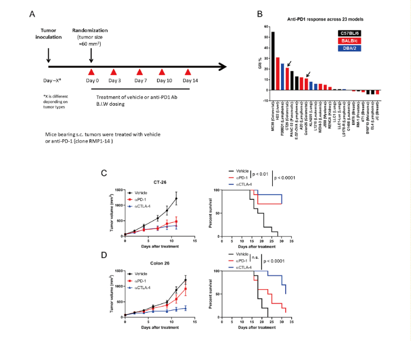 免疫检查点阻断疗法改变了癌症治疗的范式，，，，，，，此研究中通过威客电竞在23 个同源肿瘤模子中举行了抗PD-1抗体的体内研究