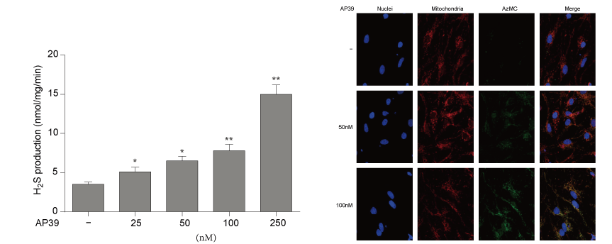 AP39是一种新合成的线粒体靶向的H2S供体，，，，，，本研究中AP39通过威客电竞设计和合成