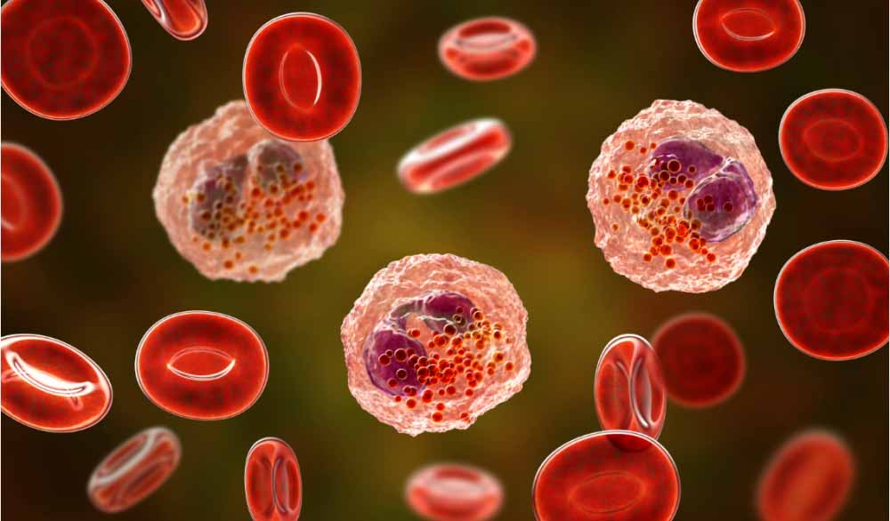 威客电竞助力 | 全球首创！宇耀生物STAT3双磷酸化抑制剂YY201获批临床.jpg