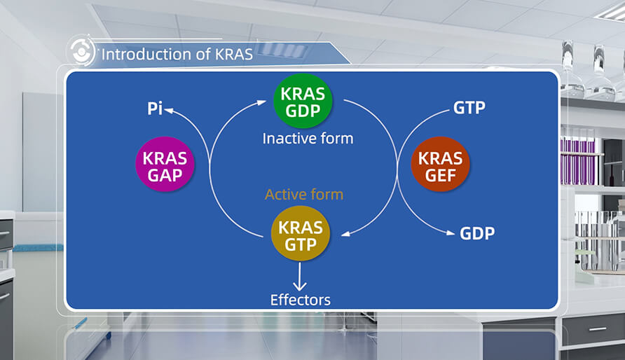 什么是KRAS？？？？？？？