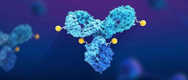 天下肿瘤日聚焦：AACR年会引领全球肿瘤新药趋势，，，，，，，，国产药引领风潮