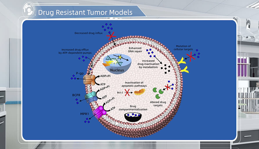 肿瘤耐药机制是什么？？？？？？？