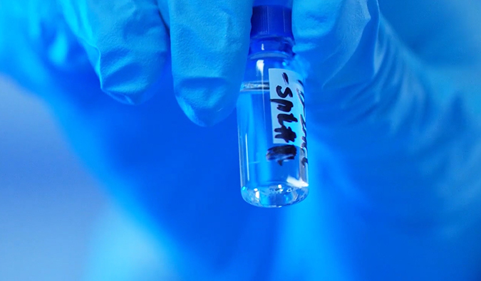 GLP-1“竞速赛”何以夺魁？？？？？？？？